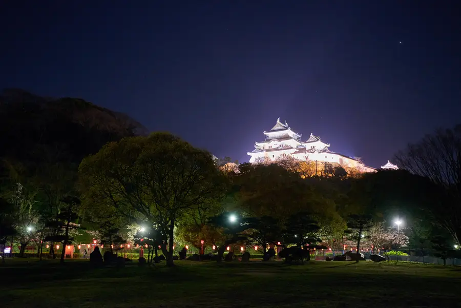 Wakayama Castle illuminated at night during the cherry blossom season